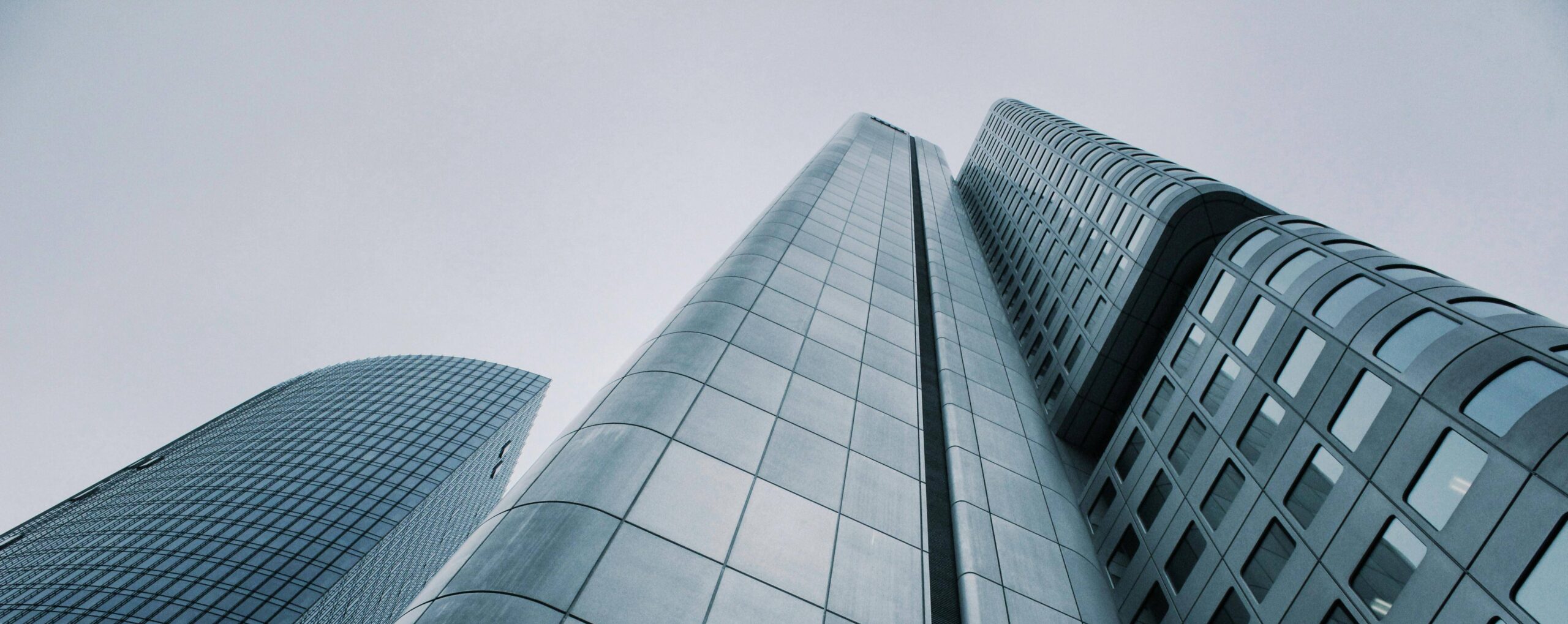 RViGroup